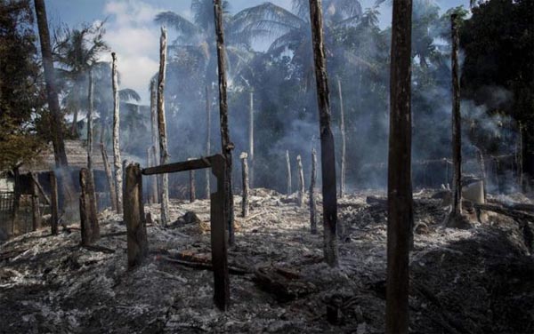 PBB Kirim Utusan Khusus Selidiki Kekerasan Militer Myanmar di Rohingya