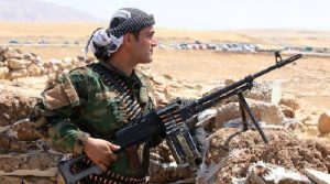 Kanada Persenjatai Milisi Kurdi di Irak