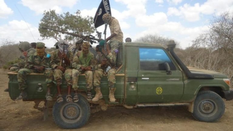 AS Lancarkan Tiga Serangan Udara pada Al Shabaab