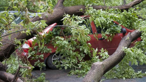 Ibukota Rusia Dilanda Angin Topan, 3500 Pohon Tumbang, 14 Tewas