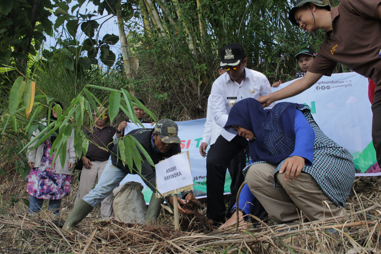 Sinergi Foundation Tanam 947 Bibit Bambu di Selaawi Garut