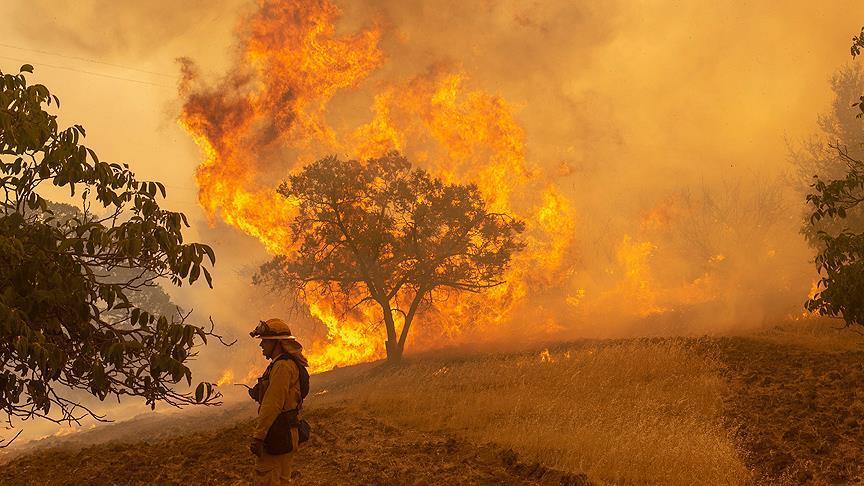 Seluas 80.940 Hektar, 17 Kota Besar Alami Kebakaran di Negara Bagian California