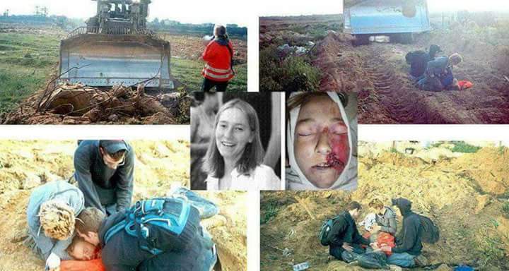 Mengenang Rachel Corrie, Wanita Amerika Pembela Palestina yang Tewas Digilas Buldozer Israel