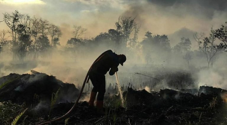Pernyataan Pejabat yang Sebut Kondisi Asap Membaik Tak Sesuai Fakta