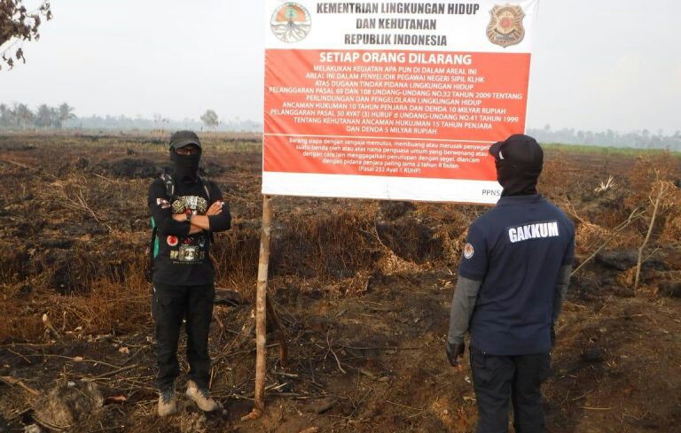 KLHK Segel 64 Perusahaan karena Karhutla, Ada dari Malaysia dan Singapura