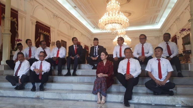 Jokowi Kenalkan 12 Wakil Menteri, Ini Nama-namanya