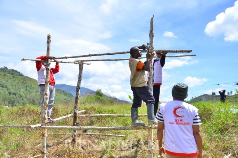 Mudahkan Kurban, BSMI Jayawijaya Bantu Warga Papua Jadi Peternak