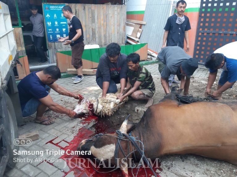 DPX Group Salurkan Ratusan Paket Daging Kurban