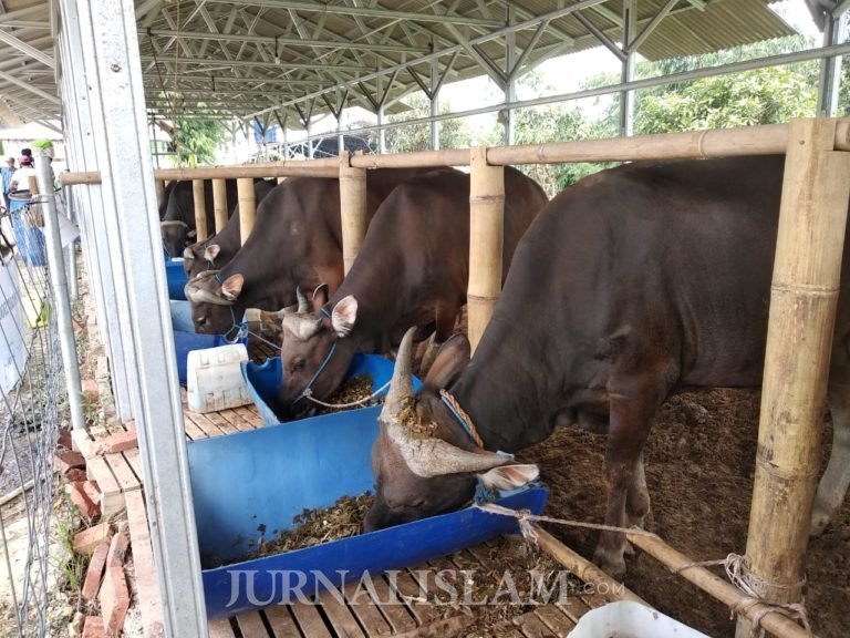 Kemenag Gandeng TNI-Polri Soal Pembatasan Shalat Id dan Kurban