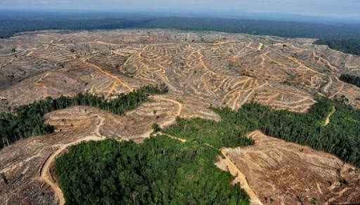 Masalah Pelestarian Lingkungan Jadi Sorotan Muktamar NU
