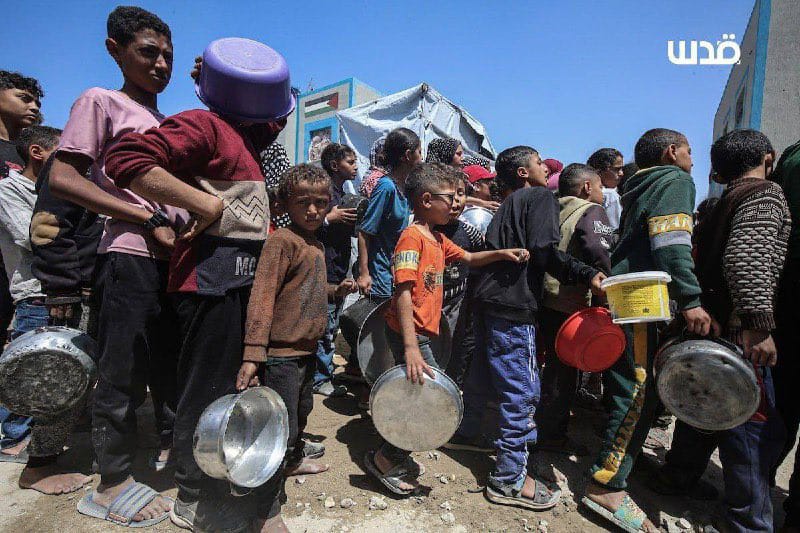 Gaza Darurat Kemanusiaan, 68 Pusat Distribusi Bantuan Hancur Jadi Sasaran Militer Israel
