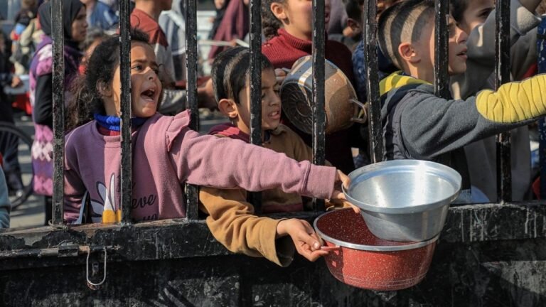 Laporan PBB: 19 Warga Gaza Meninggal karena Kelaparan dalam Satu Hari