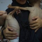 UNICEF: Rata-rata 28 Anak Tewas Setiap Hari di Gaza