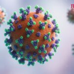 Virus Tak Mengenal Miskin dan Kaya, Hidup Sehat Hak Setiap Warga Negara