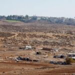 Israel Rampas Tanah Palestina di Nablus, Tebangi 150 Pohon Zaitun untuk Perluas Permukiman Ilegal