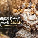Jangan Hidup seperti Lebah