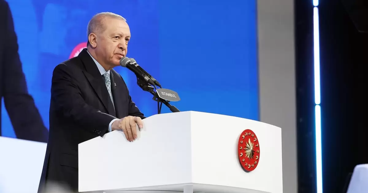 Erdogan Tegaskan Diplomasi Turkiye Tetap Terbuka untuk Perdamaian Dunia